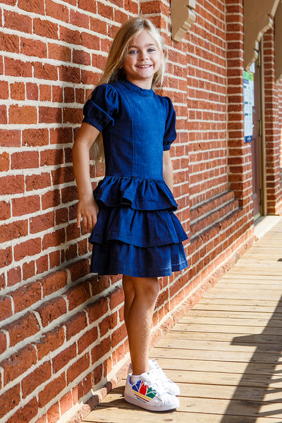 Habitual Kids Drop Waist Ruffle Girls Dress